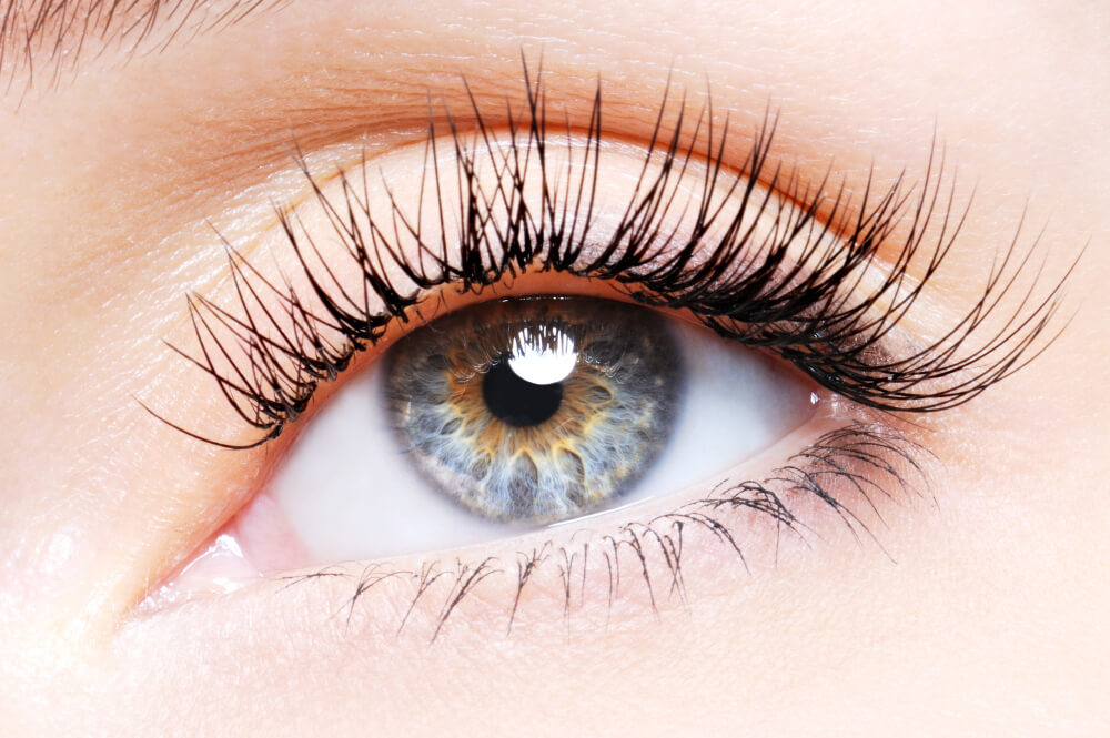Ana’s Lash Boutique & Spa – Enhancing the Beauty of Captivating Lashes